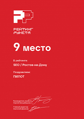 9 место в Рейтинге Рунета по SEO среди агентств Ростова-на-Дону